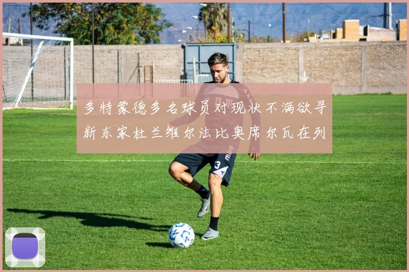 多特蒙德多名球员对现状不满欲寻新东家杜兰维尔法比奥席尔瓦在列