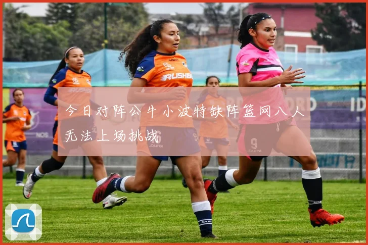 今日对阵公牛小波特缺阵篮网八人无法上场挑战