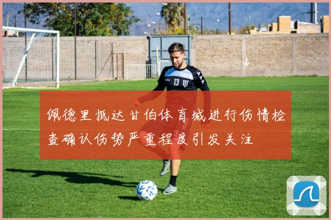 佩德里抵达甘伯体育城进行伤情检查确认伤势严重程度引发关注